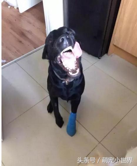 20221124152914_41135