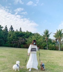 深圳红树林可以带狗吗(深圳红树林公园可以带狗吗)-警犬训练器材厂家 _警犬训练用品_工作犬训练用品-南京开久警犬装备