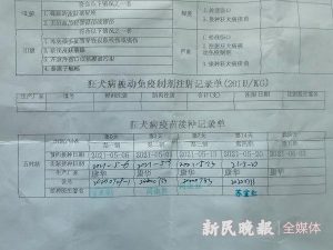 狂犬疫苗注射时间  狂犬疫苗注射时间间隔可调整吗-警犬训练器材厂家 _警犬训练用品_工作犬训练用品-南京开久警犬装备