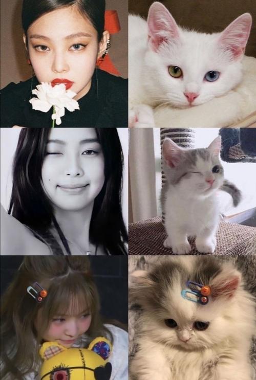 20221124161015_14989 20221124161015_14989