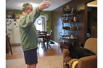 20221124163156_37776 20221124163156_37776