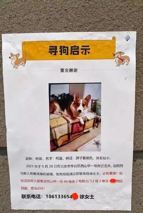 简短感人的寻狗启示，简短感人的寻狗启示怎么写 - 警犬训练器材厂家 _警犬训练用品_工作犬训练用品-南京开久警犬装备-警犬训练器材厂家 _警犬训练用品_工作犬训练用品-南京开久警犬装备