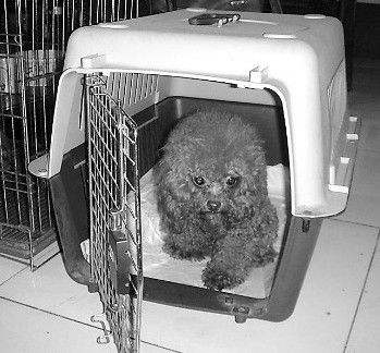 20221124165421_79429 20221124165421_79429