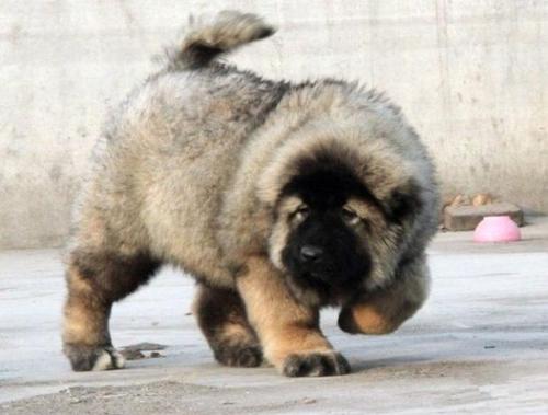 20221124172551_40156 20221124172551_40156