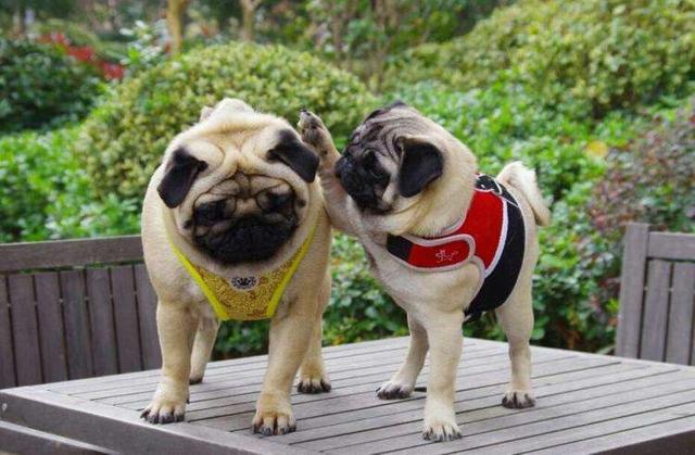 20221124173720_23979