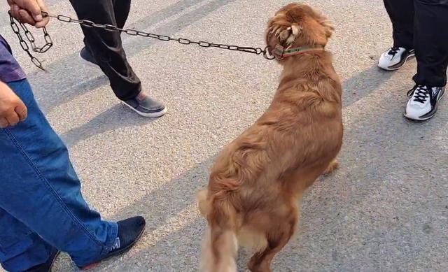 20221124175036_60003