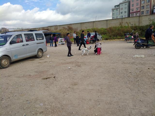 20221124180336_94004 20221124180336_94004