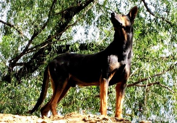 20221124180649_51402