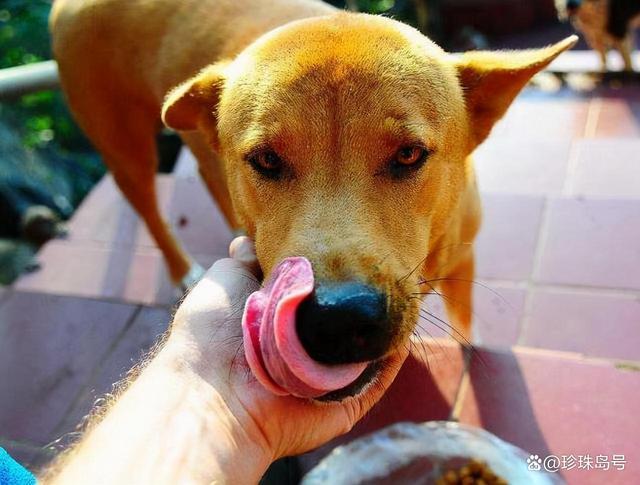 20221124182516_49885