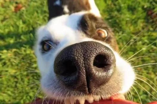 20221124183551_73958 20221124183551_73958