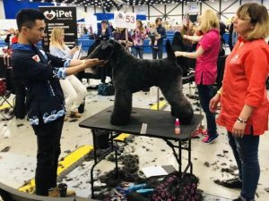 广州狗美容价格价格  萧山狗美容价格-警犬训练器材厂家 _警犬训练用品_工作犬训练用品-南京开久警犬装备