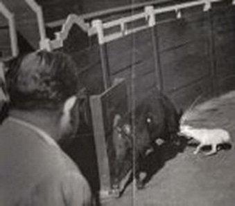 20221124190655_87988 20221124190655_87988