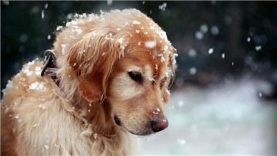 20221124191118_38224 20221124191118_38224