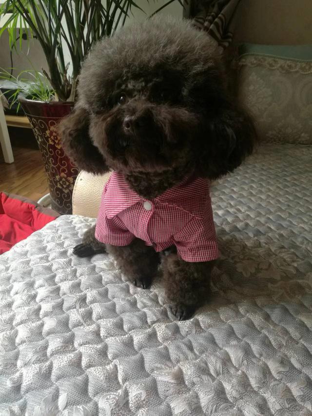 20221124202851_27281 20221124202851_27281