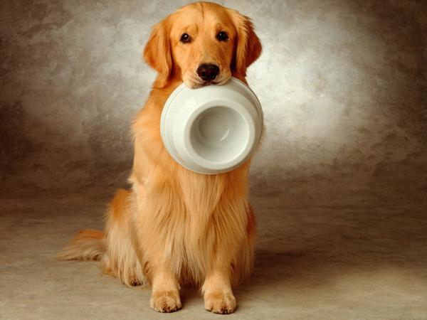 20221124211842_58865