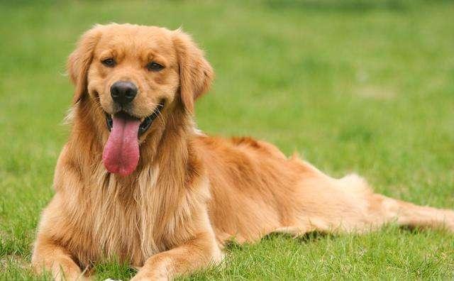 20221124211842_71415