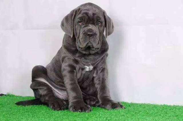 20221124215159_35885