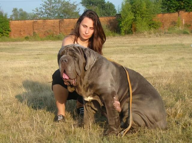 20221124215200_33662