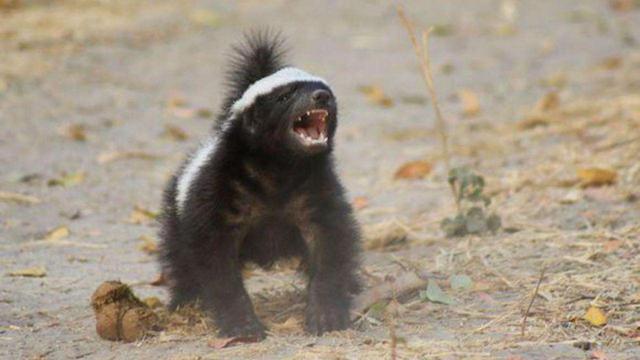 20221124222645_98948