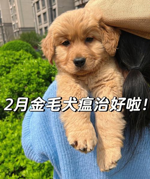 20221124223046_59226