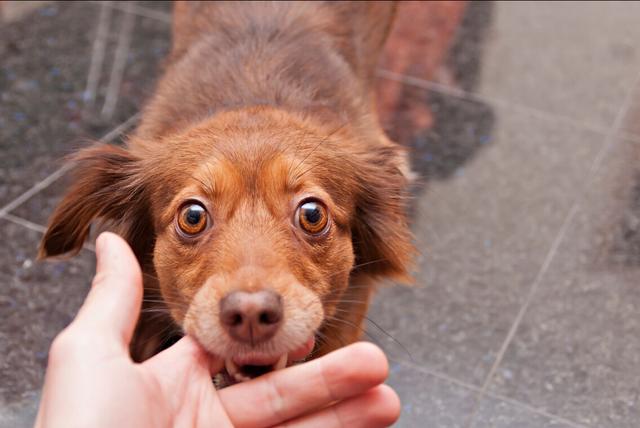 20221124224100_30580