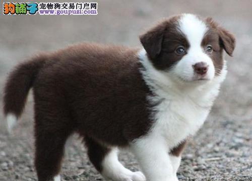 20221125084206_45551 20221125084206_45551