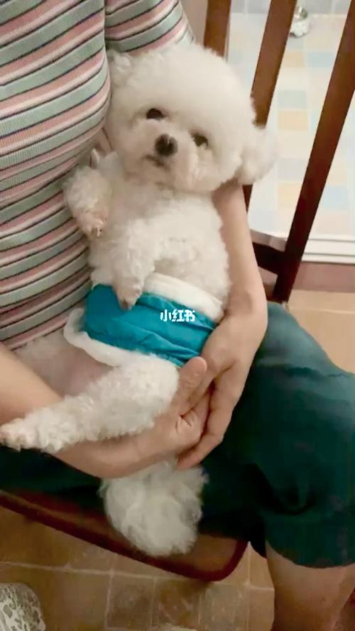 20221125084525_74435 20221125084525_74435