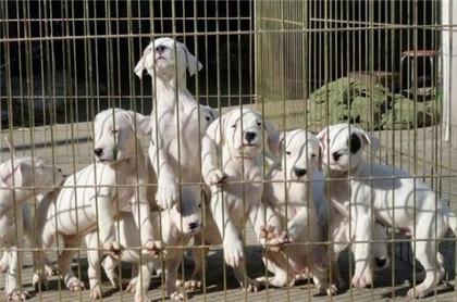 20221125085152_94698 20221125085152_94698