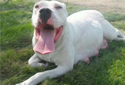 20221125085153_60800 20221125085153_60800