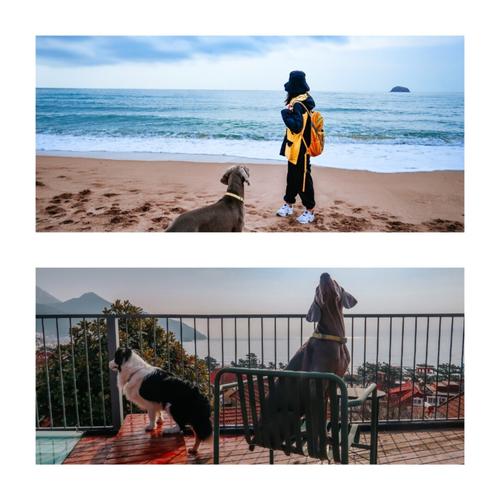 20221125091716_58661 20221125091716_58661