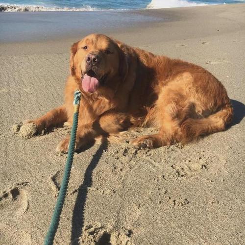 20221125091716_70490 20221125091716_70490