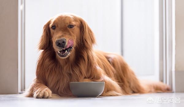 20221125092113_57039