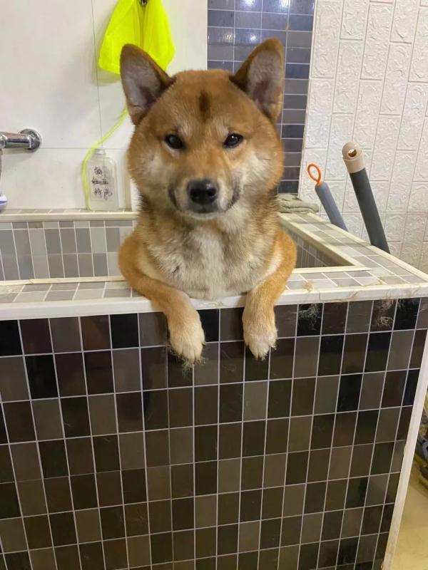 20221125093202_70880