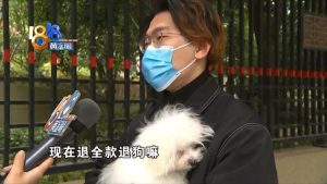 马尔济斯犬的价格马尔济斯犬的价格多少(马尔济斯犬价格马尔济斯犬多少钱一只)-警犬训练器材厂家 _警犬训练用品_工作犬训练用品-南京开久警犬装备
