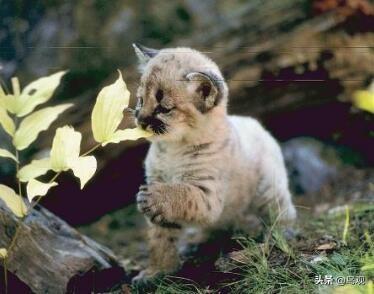 20221125105220_59304