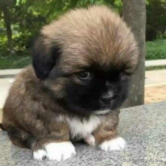 20221125105220_68296