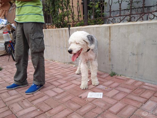 20221125105548_18265