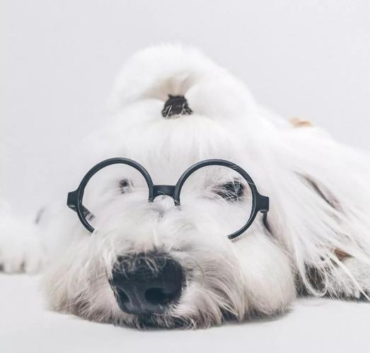 20221125105548_18307