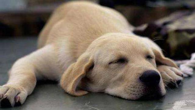 20221125105713_57331