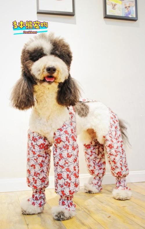 巨贵犬缺点优点(巨贵犬优点和缺点百科) - 警犬训练器材厂家 _警犬训练用品_工作犬训练用品-南京开久警犬装备-警犬训练器材厂家 _警犬训练用品_工作犬训练用品-南京开久警犬装备