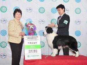 福佑园犬舍(福佑园犬舍官网)-警犬训练器材厂家 _警犬训练用品_工作犬训练用品-南京开久警犬装备