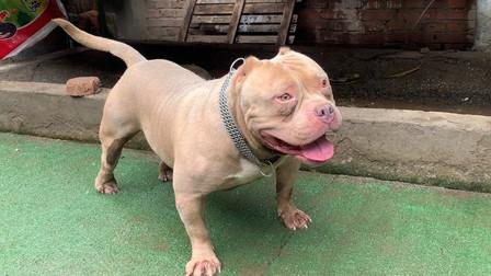 20221125112059_87179 20221125112059_87179