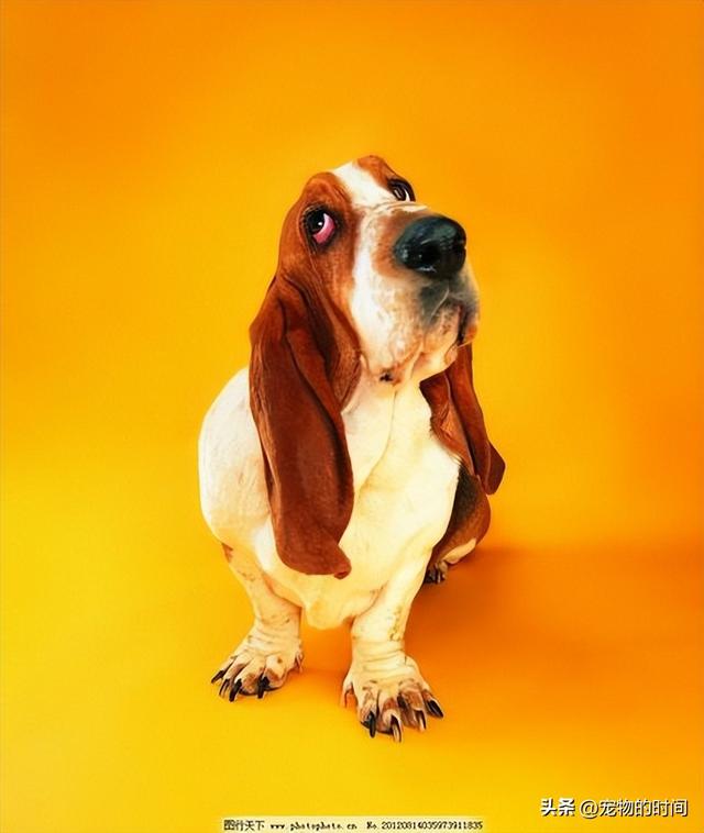 20221125113230_13464