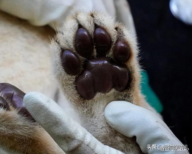 20221125113231_56669