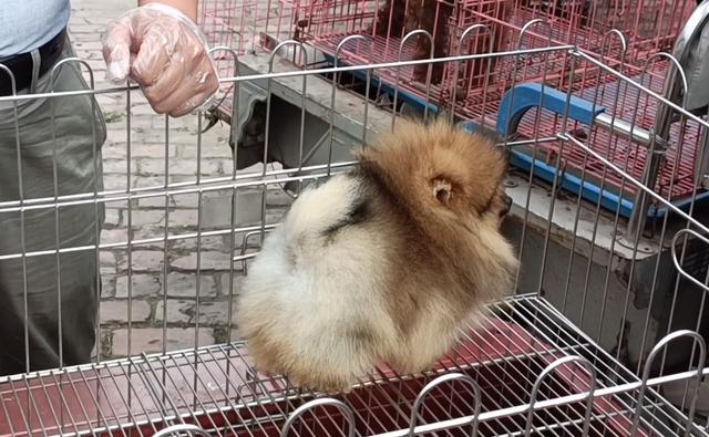 20221125113647_72548 20221125113647_72548