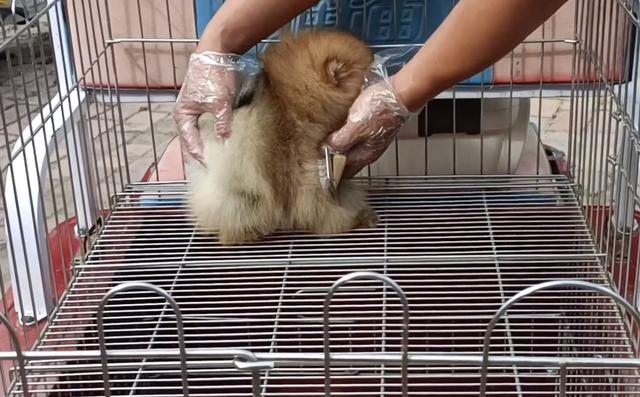 20221125113647_87495 20221125113647_87495