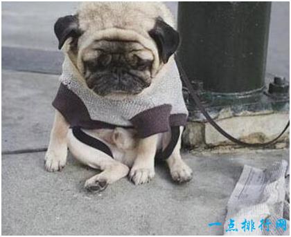 20221125113750_35902 20221125113750_35902