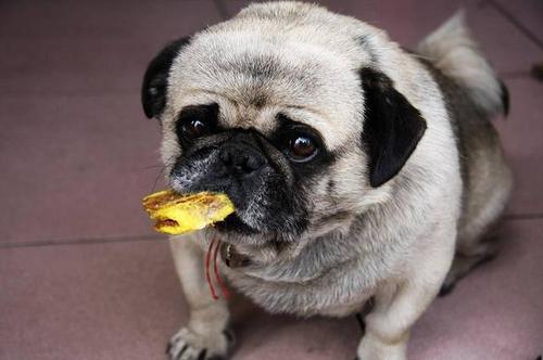 20221125114546_65554