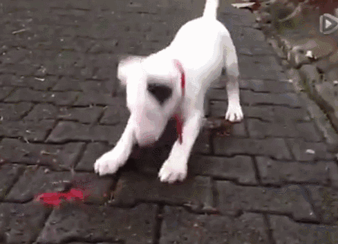 20221125115336_84213 20221125115336_84213