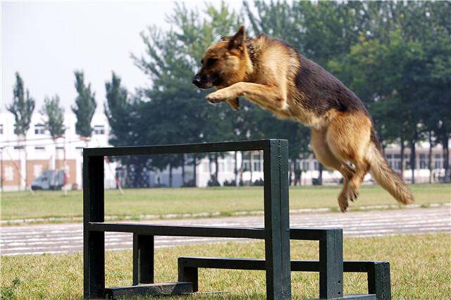 20221125115959_49593 20221125115959_49593